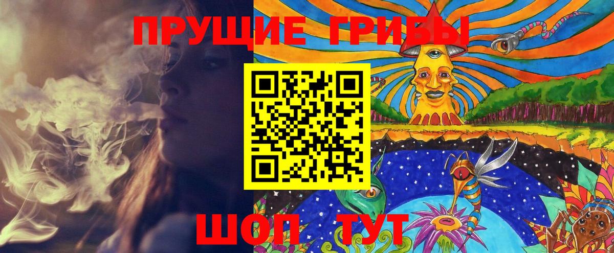Губкинский  Галлюциногенные грибы Cubensis  купить   Вход с VPN 