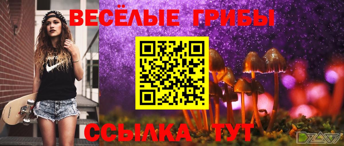 Галлюциногенные грибы мицелий Губкинский